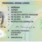get provisional driving licence, dvla number,driving licence view,change address provisional license