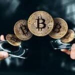 dvla car license check