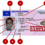 dvla driving licence check,dvla licence view,gov co uk change address driving licence